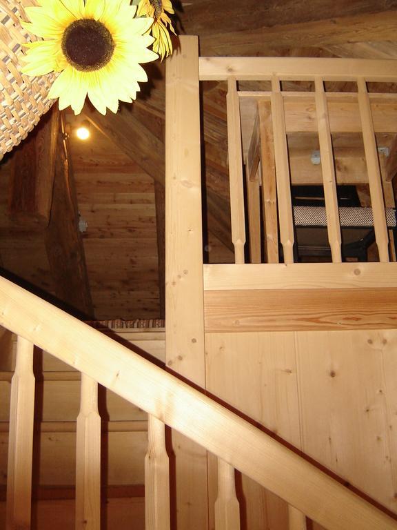 Residenza Domino Aparthotel Selva di Cadore Rum bild