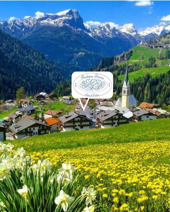 Residenza Domino Aparthotel Selva di Cadore Exteriör bild